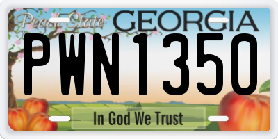 GA license plate PWN1350