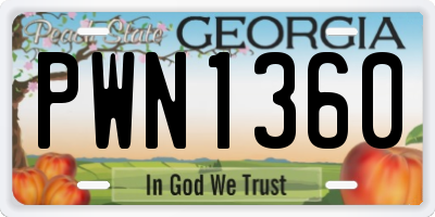 GA license plate PWN1360