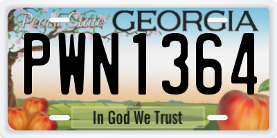 GA license plate PWN1364
