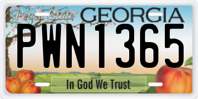 GA license plate PWN1365