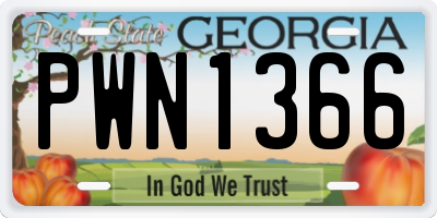 GA license plate PWN1366