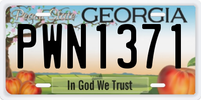 GA license plate PWN1371