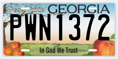 GA license plate PWN1372