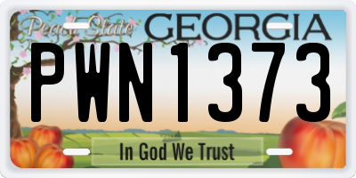 GA license plate PWN1373