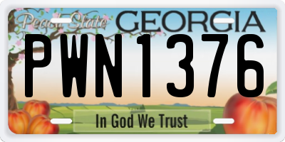 GA license plate PWN1376