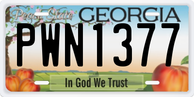 GA license plate PWN1377