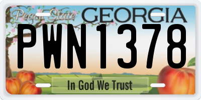 GA license plate PWN1378