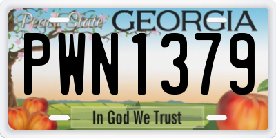 GA license plate PWN1379