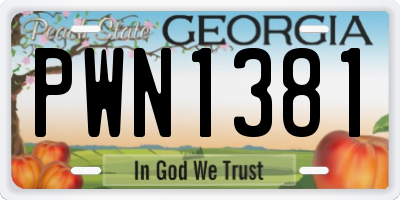 GA license plate PWN1381