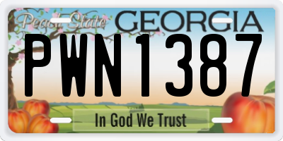 GA license plate PWN1387