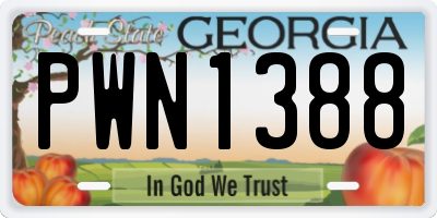 GA license plate PWN1388