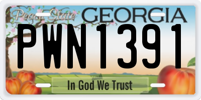 GA license plate PWN1391