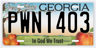 GA license plate PWN1403