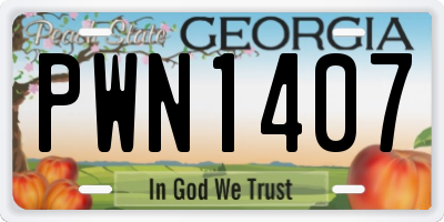 GA license plate PWN1407