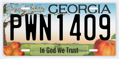 GA license plate PWN1409