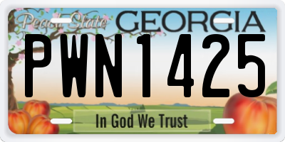 GA license plate PWN1425