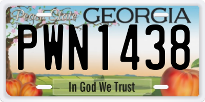 GA license plate PWN1438