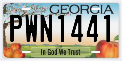 GA license plate PWN1441