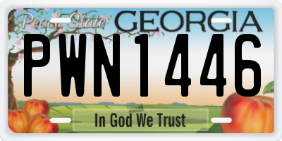 GA license plate PWN1446