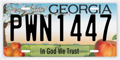GA license plate PWN1447