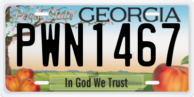 GA license plate PWN1467