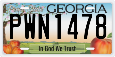 GA license plate PWN1478
