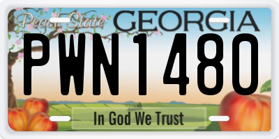 GA license plate PWN1480