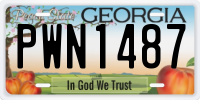 GA license plate PWN1487