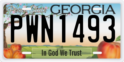 GA license plate PWN1493