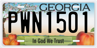 GA license plate PWN1501