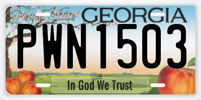 GA license plate PWN1503