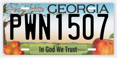 GA license plate PWN1507