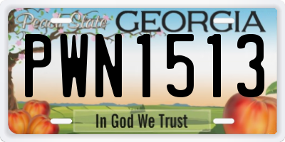 GA license plate PWN1513