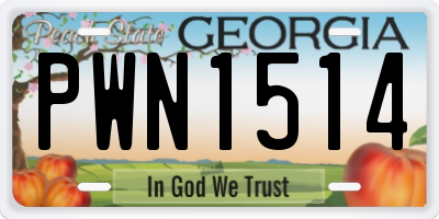 GA license plate PWN1514
