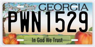 GA license plate PWN1529