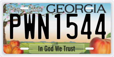 GA license plate PWN1544