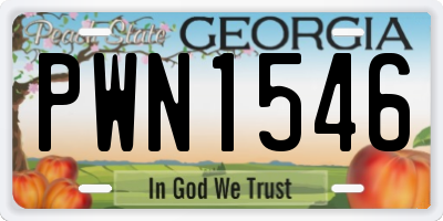GA license plate PWN1546