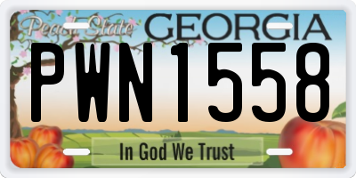 GA license plate PWN1558