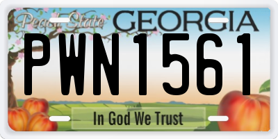GA license plate PWN1561