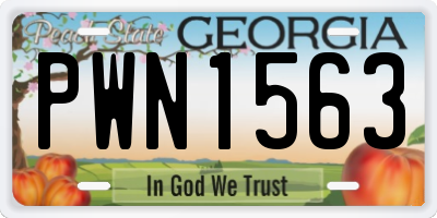 GA license plate PWN1563