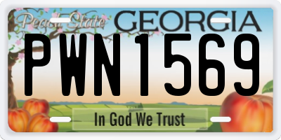 GA license plate PWN1569