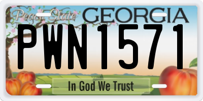 GA license plate PWN1571