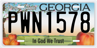 GA license plate PWN1578