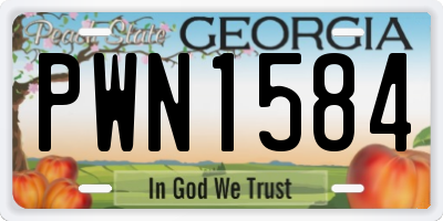 GA license plate PWN1584