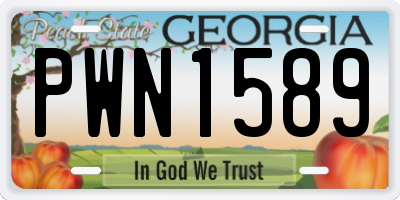 GA license plate PWN1589