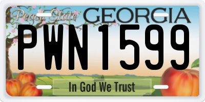 GA license plate PWN1599