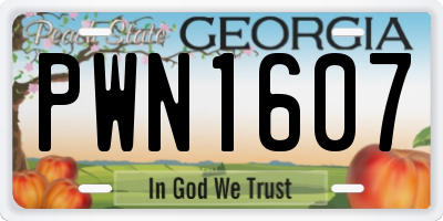 GA license plate PWN1607