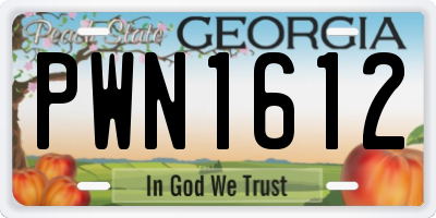 GA license plate PWN1612