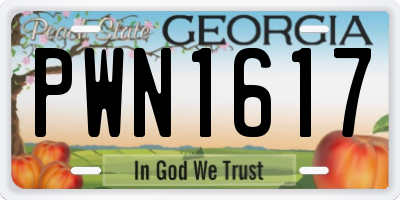 GA license plate PWN1617