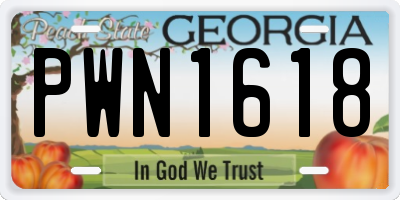 GA license plate PWN1618